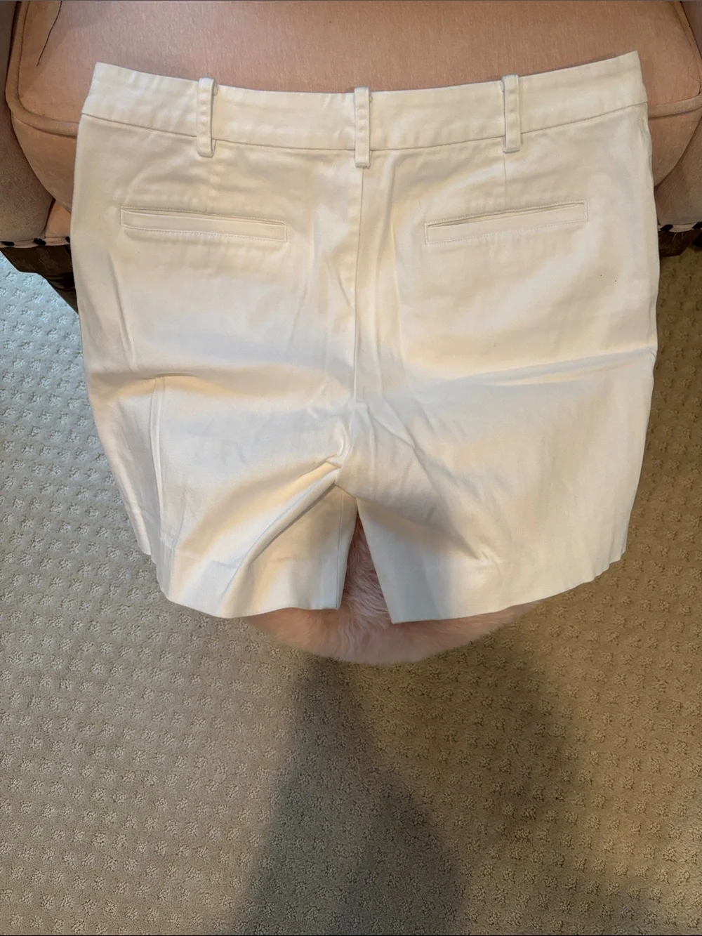 Ralph Lauren Cream Flat-Front Women's Shorts - Picture 2 of 3